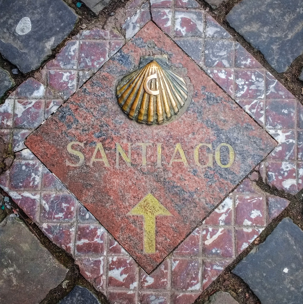 De beroemde Camino de Santiago vind overal zijn wegaanduiding