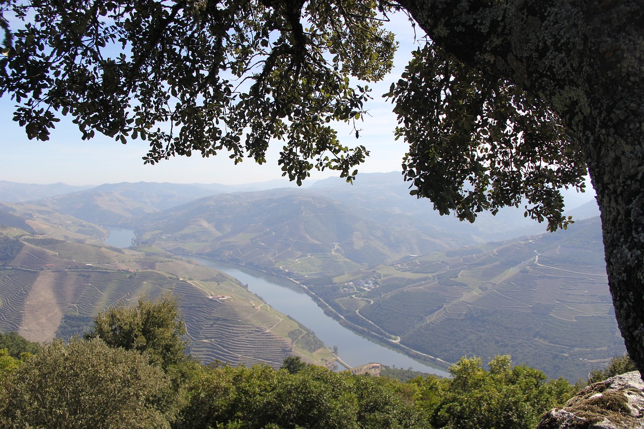 De Douro vallei is een ansichtkaart uitzicht tijdens je reis door Noord Portugal