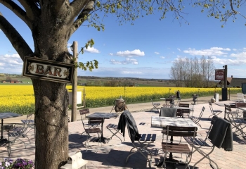 Het terras beschikt over een weids uitzicht naar de natuur