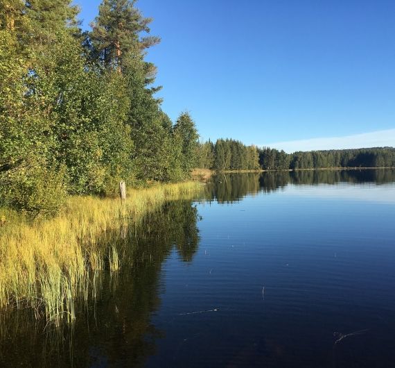 Je rondreis door Zweden start in het ongerepte Värmland