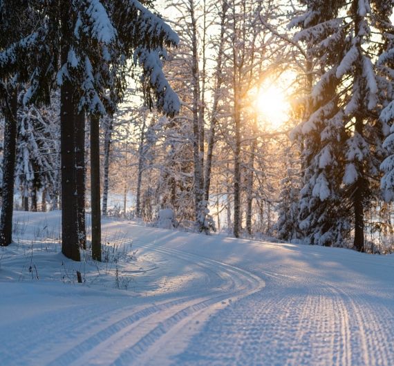 In Lapland zul je veel van dit soort romantische paden zien