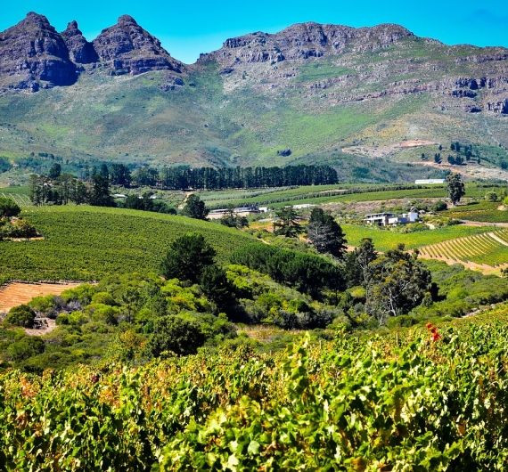 In Stellenbosch bevind je je midden in de beste wijnstreek van Zuid-Afrika