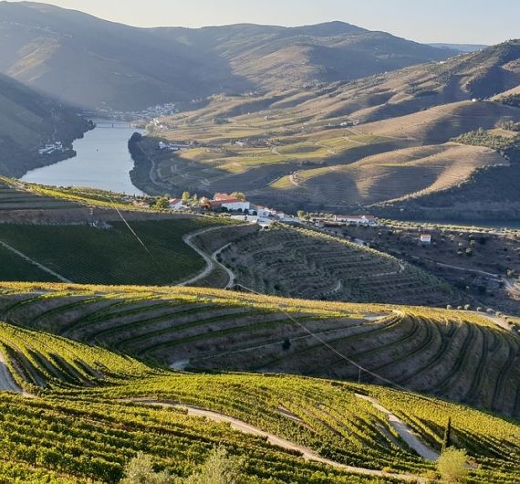 De Douro vallei zal veel indruk op je maken tijdens je Portugal rondreis