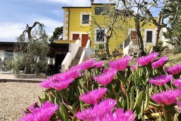 Borgo del Nespolo pand achter de roze bloemen