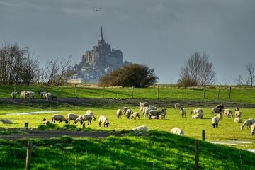 Mont Saint Michel is een van de vele hoogtepunten tijdens deze rondreis Normandië en Bretagne